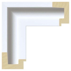 Dibond White