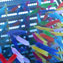 Téléviseur miroir gamme mirois infinis modèle Table Bird Feather - Hymage
