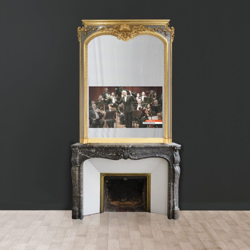 Trumeau fireplace Napoleon style