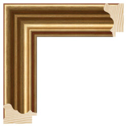 Mirror TV frame Prado Gold gold, Gamme D