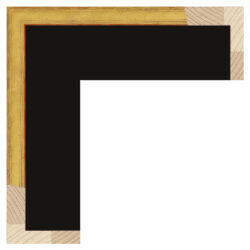 Mirror TV frame Pisa Gold gold, Gamme Best
